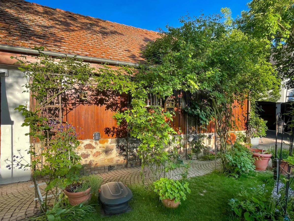 Ferienhaus Burgblick Münzenberg 외부 사진