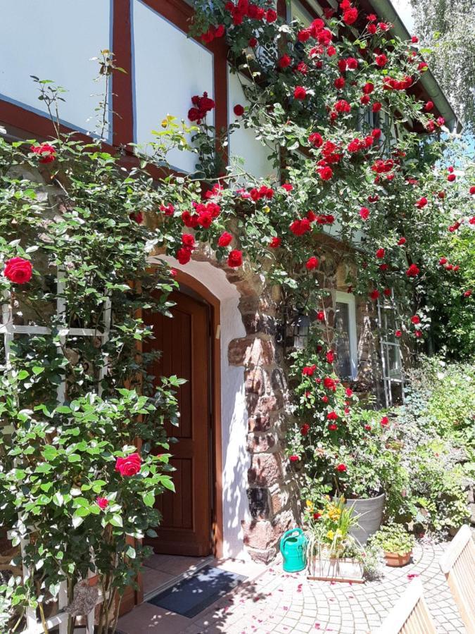 Ferienhaus Burgblick Münzenberg 외부 사진